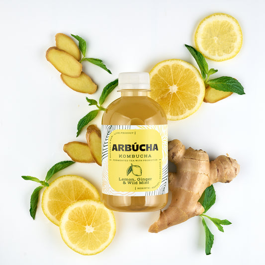 Arbucha Lemon, Ginger & Wild Mint Kombucha