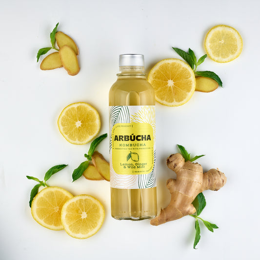 Arbucha Lemon, Ginger & Wild Mint Kombucha Glass bottle 330ml